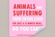 Katinka Cares Sticker - Animals are suffering their entire life