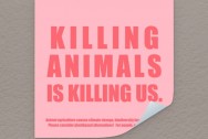 Katinka Cares Sticker - Killing animals is killing us.