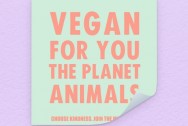 Katinka Cares Sticker - Vegan for you, the planet, animals