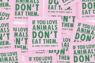 Katinka Cares Sticker 5x5 - If you love animals DON'T eat them.