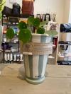 Gestreepte pot wit/lichtgroen €19,95 vega-life