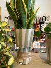 Lamp vormige pot gestreept groen wit €24,95 vega-life